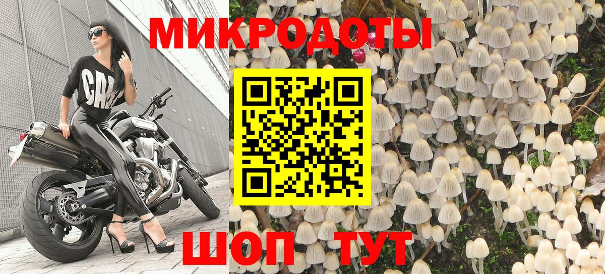 Псилоцибиновые грибы Cubensis Саранск