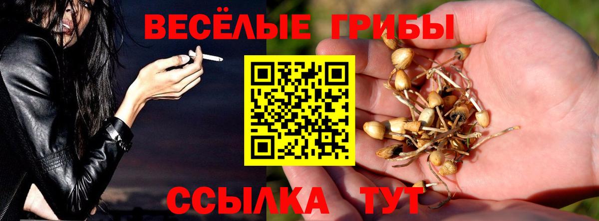 Псилоцибиновые грибы GOLDEN TEACHER  как найти наркотики  Саранск  Галлюциногенные грибы прущие грибы  Вход с VPN 
